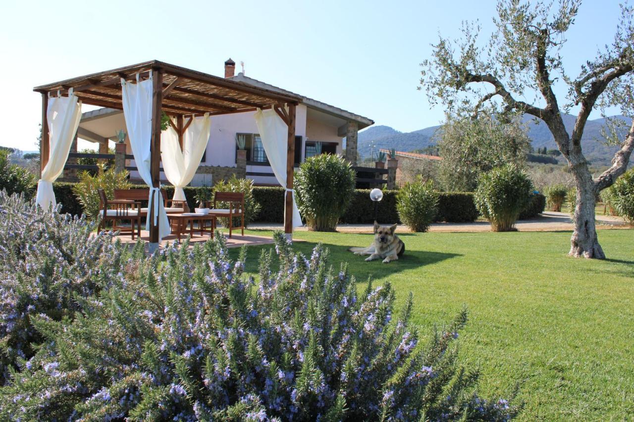 Agriturismo Il Vecchio Mandorlo Кастильоне дела Пеская Екстериор снимка